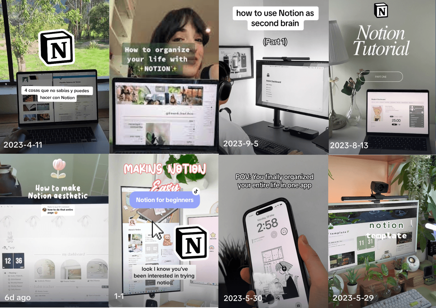 Assemblage of screens from social media showing Notion creators