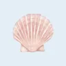 Foto do perfil de natalie 🐚