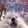 Foto do perfil de Vix Clotet