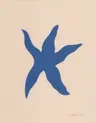 Profile picture of Valentina