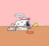ashley님의 프로필 사진