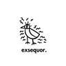 Profilbild von exsequor
