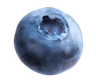 Foto profil isobel
